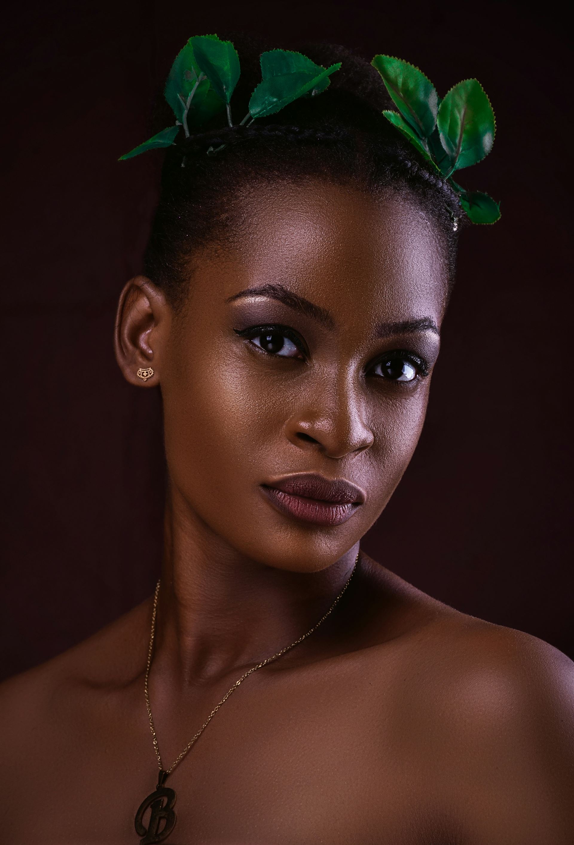Laurel Beauty project